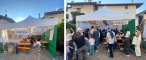Newsletter Ottobre 2025