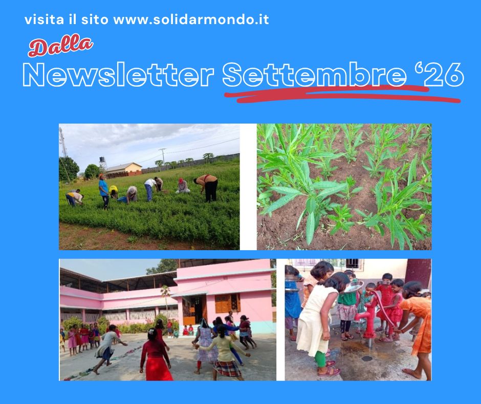 Newsletter Settembre 2026
